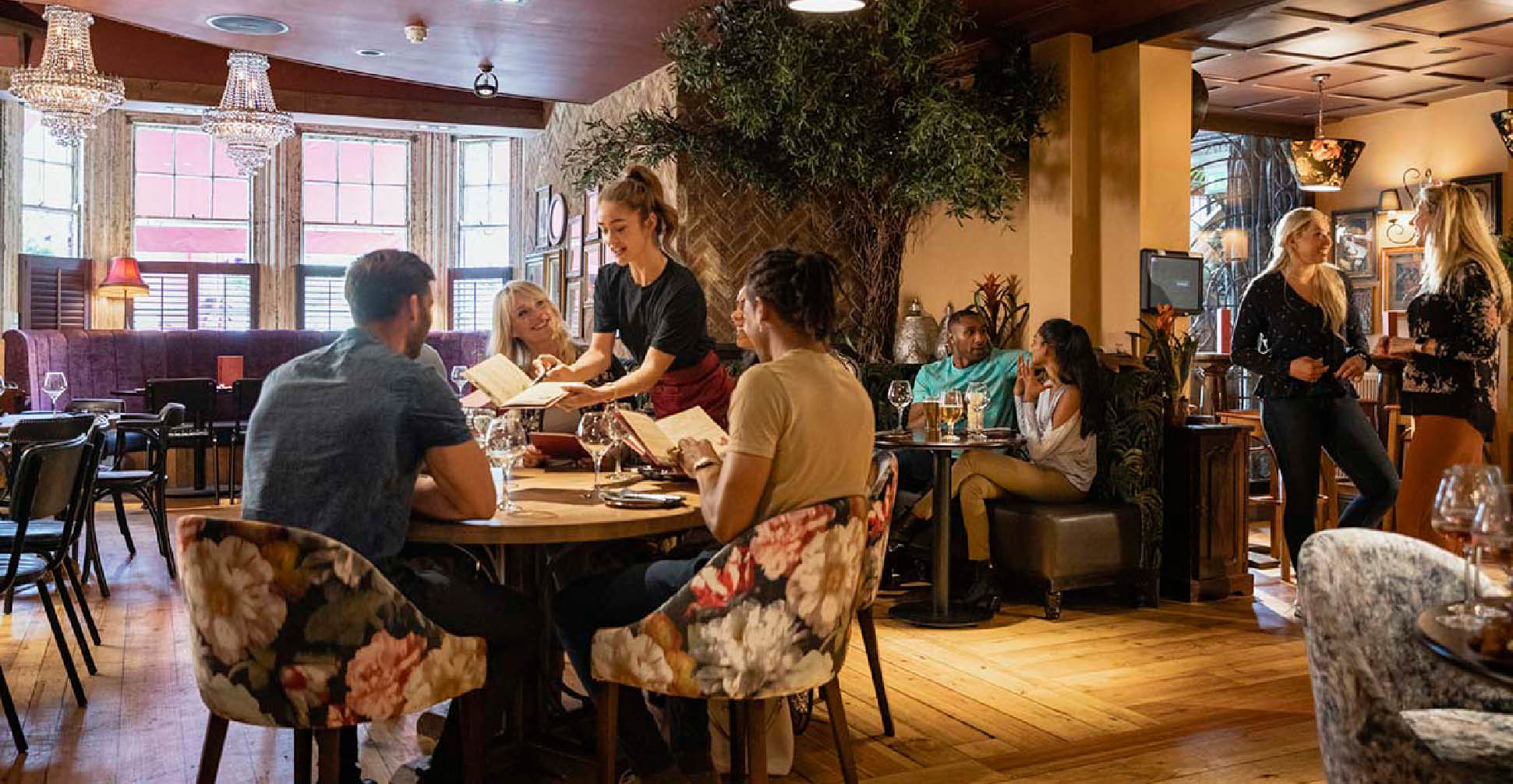 Restaurants & Gastronomy image