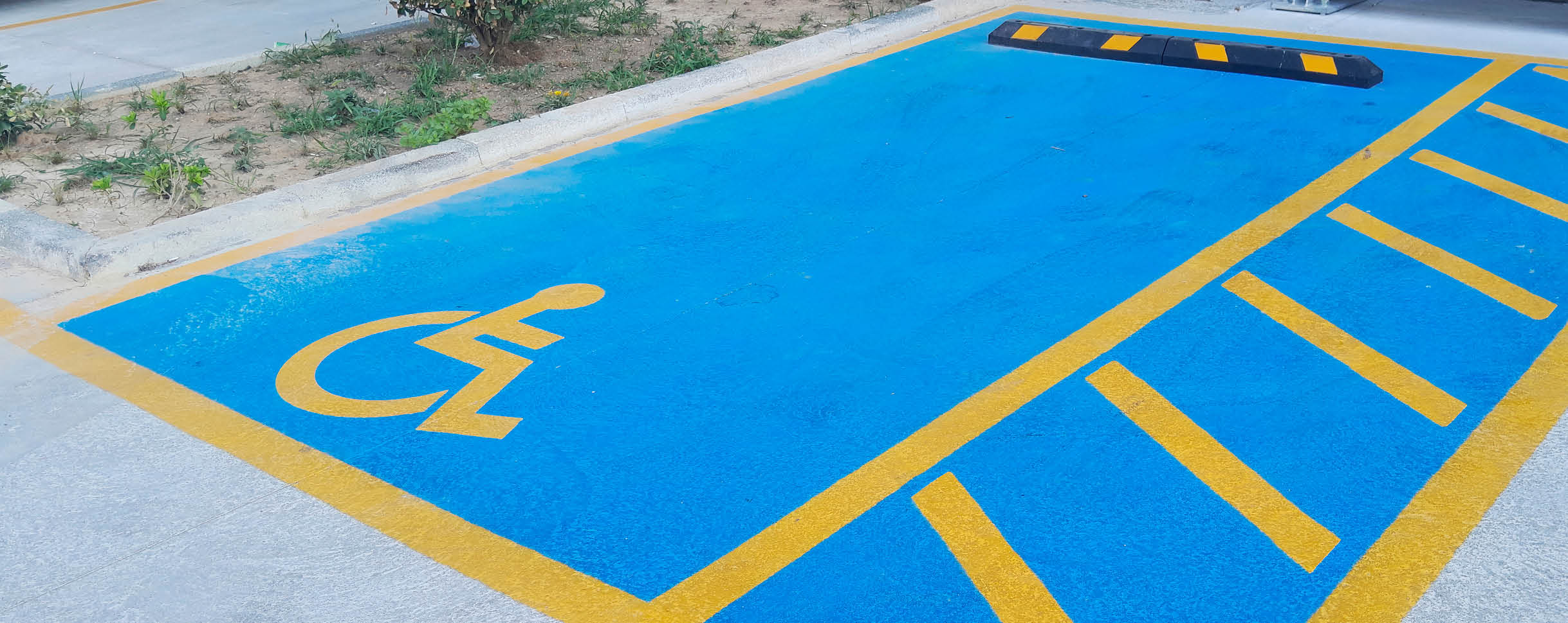Parking enforcement and bay protection