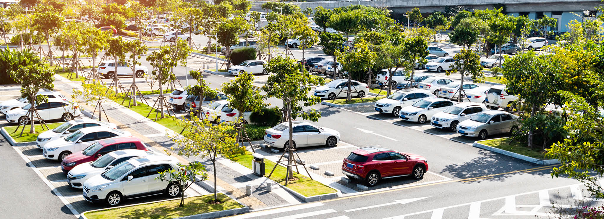 nz-car-park-lr-5